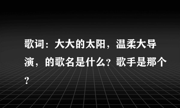 歌词：大大的太阳，温柔大导演，的歌名是什么？歌手是那个？