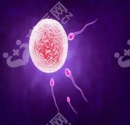 天津试管婴儿成功率排名是怎样?如何选择试管婴儿医院?