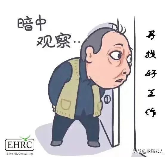 从业者工作稳定性