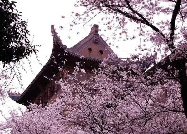 为何本·拉登说中国是世界上唯一不可以碰的国家?