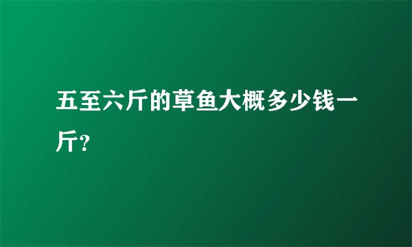 五至六斤的草鱼大概多少钱一斤？