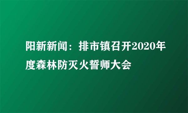 阳新新闻：排市镇召开2020年度森林防灭火誓师大会
