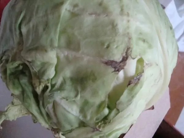 饺子怎么做好吃，大头菜饺子的家常做法