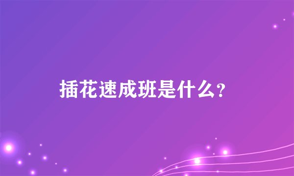 插花速成班是什么？