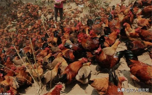 你认为中央电视台的《致富经》能让人致富吗？