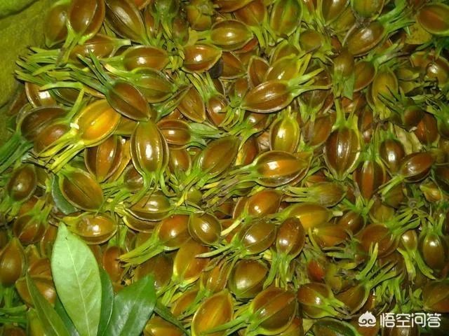 你认为中央电视台的《致富经》能让人致富吗？