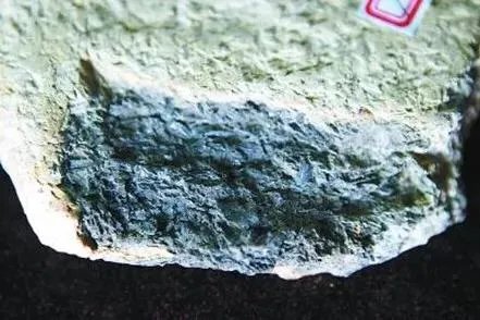 中国南北的水稻