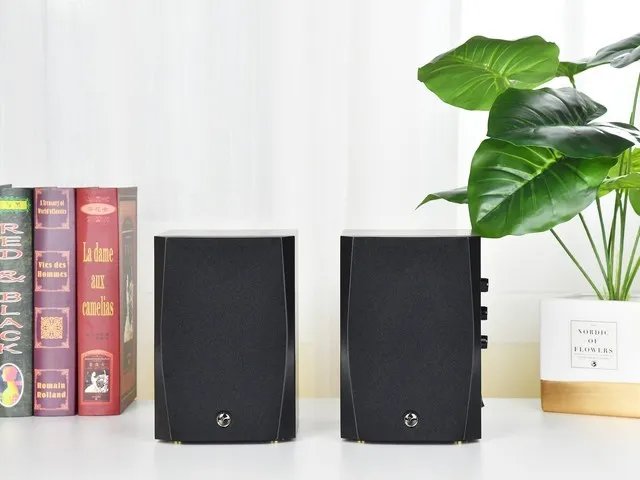 售价不到600元的惠威D1100HiFi音箱 为何这么受欢迎？