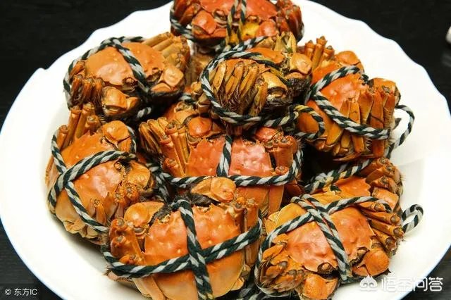 你喜欢钓鱼吗?你在钓鱼时遇到过什么奇闻吗?