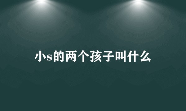 小s的两个孩子叫什么