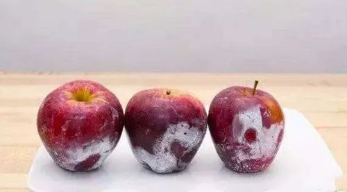 健康生活小窍门2018 生活中的小窍门有哪些