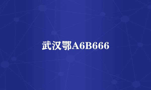 武汉鄂A6B666