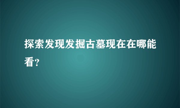 探索发现发掘古墓现在在哪能看？