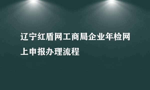 辽宁红盾网工商局企业年检网上申报办理流程