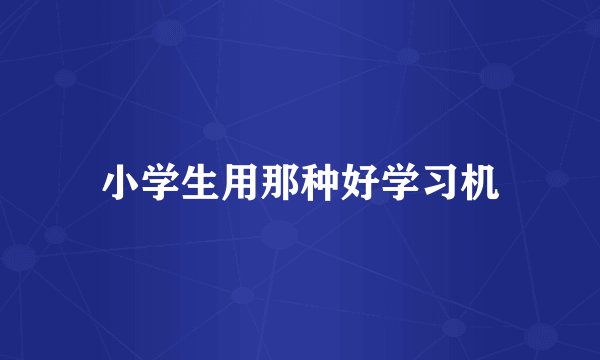 小学生用那种好学习机