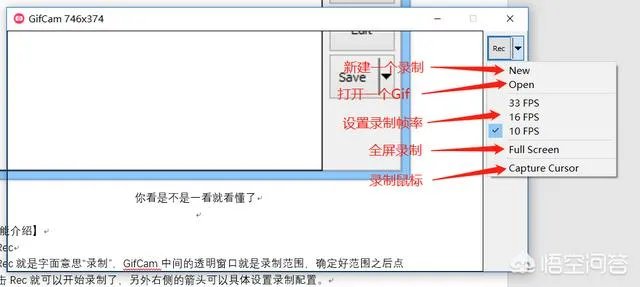 制作GIF动图,哪些软件简单易操作?