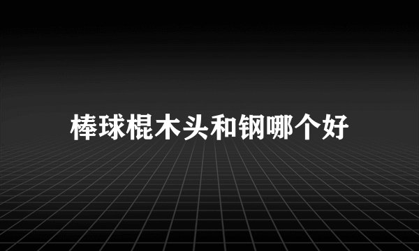 棒球棍木头和钢哪个好