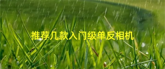 推荐几款入门级单反相机