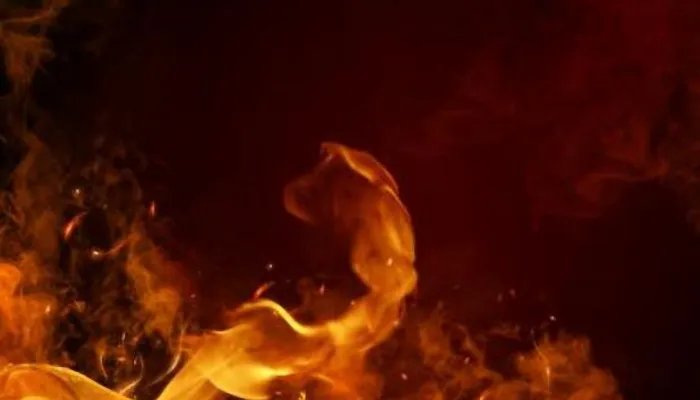 油锅着火时用什么方法灭火更合适 油锅着火时正确的灭火方法是什么