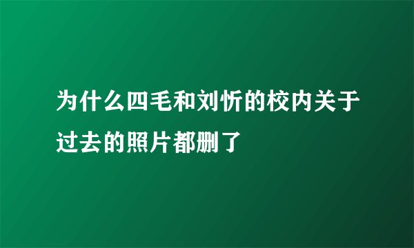 为什么四毛和刘忻的校内关于过去的照片都删了