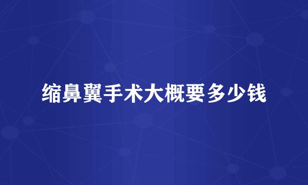 缩鼻翼手术大概要多少钱