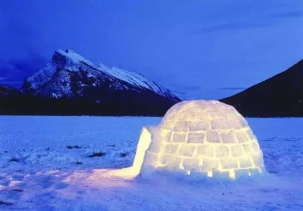 在南北极使用冰屋取暖,真的有保暖效果吗?住在冰屋里真的不冷吗?
