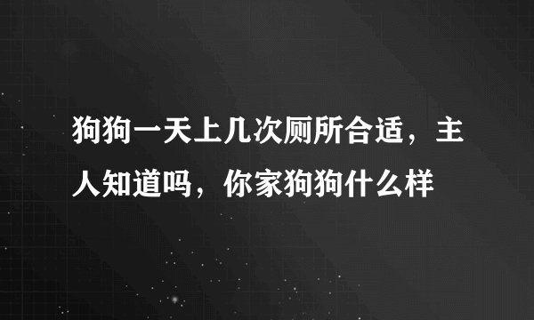 狗狗一天上几次厕所合适,主人知道吗,你家狗狗什么样