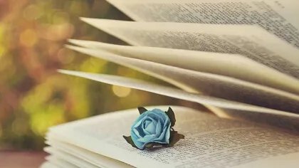 小说软件有哪些