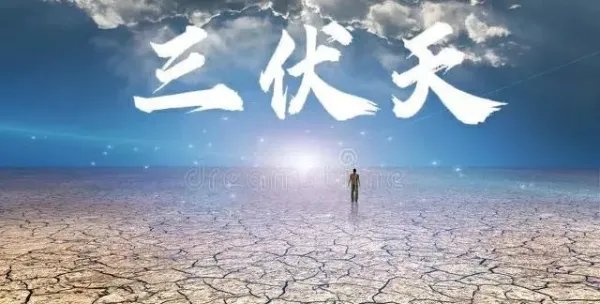 2022年三伏天时间表查询