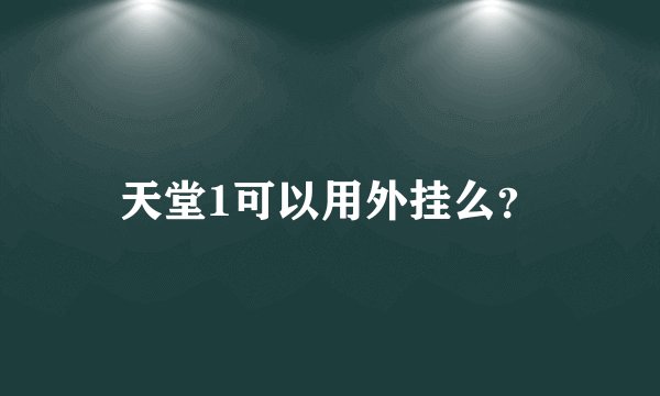 天堂1可以用外挂么？