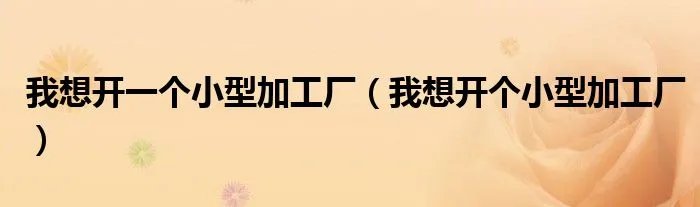 我想开一个小型加工厂（我想开个小型加工厂）