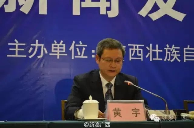 广西花山岩画满足哪些申遗标准？