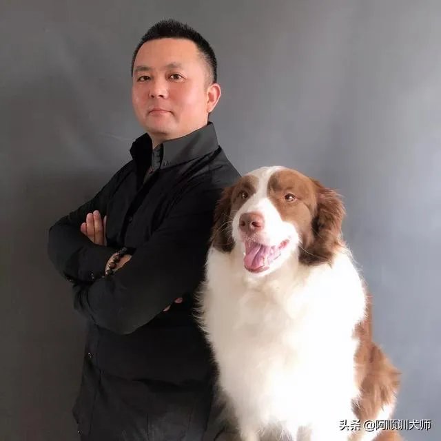 训狗师这个工作怎么样?