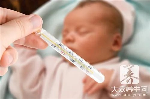 感冒食疗方有哪些