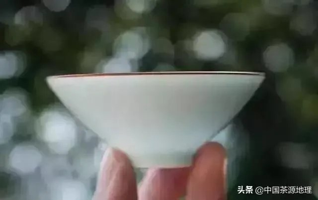 茶杯分类?
