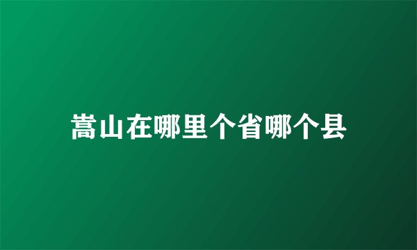 嵩山在哪里个省哪个县