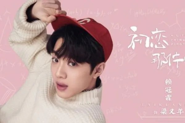 如何评价国产版的《初恋那件小事》？