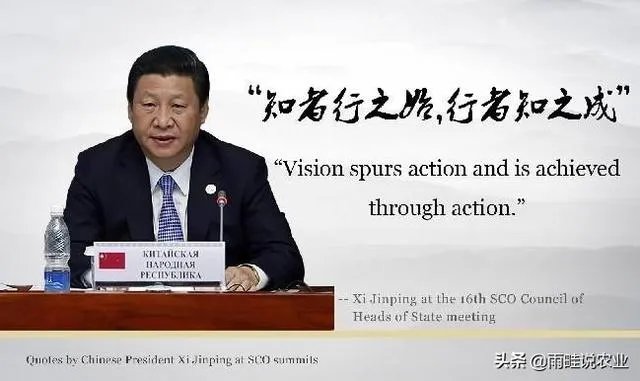 为什么中国要设定八月十九日为中国医师节？