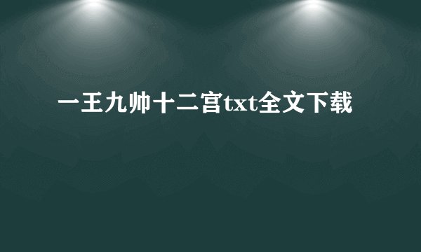 一王九帅十二宫txt全文下载
