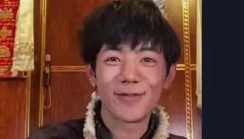 丁真妈妈回应儿子入职国企,丁真在走红之前的主要工作是什么?