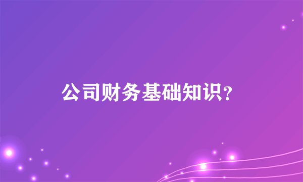 公司财务基础知识？