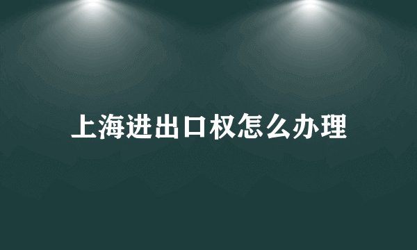 上海进出口权怎么办理