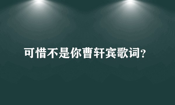 可惜不是你曹轩宾歌词？