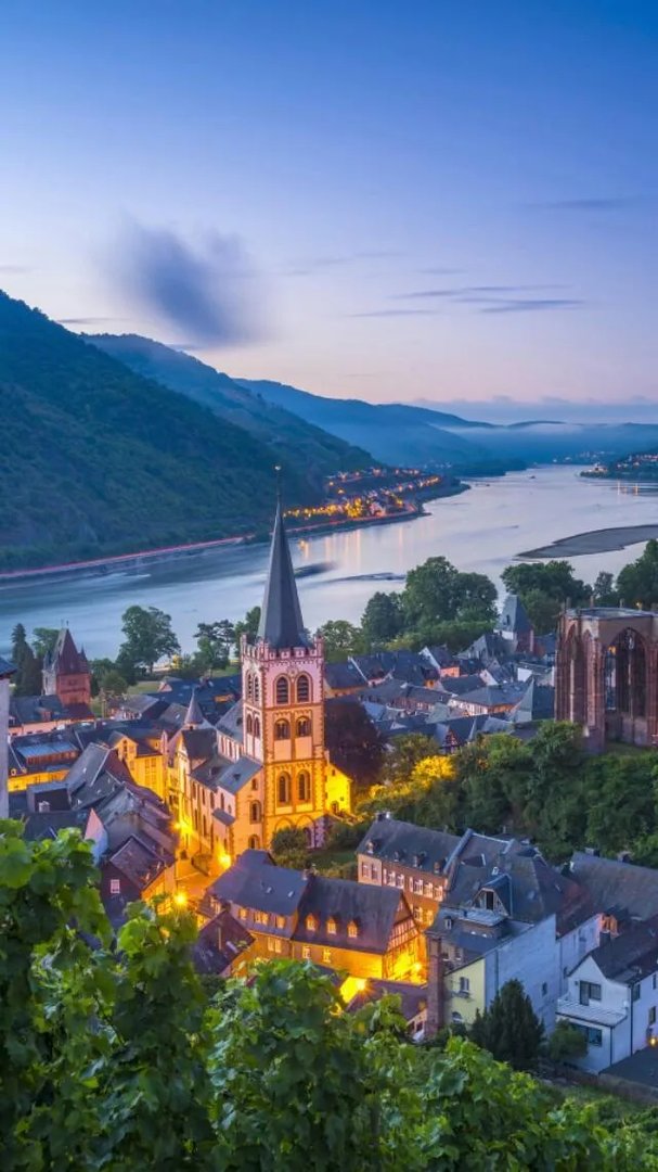 杨幂谈自己演技得“慢慢来”，各位网友网友怎么看？