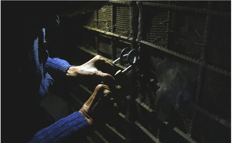 孤寡老人花26万修活人墓是怎么回事?