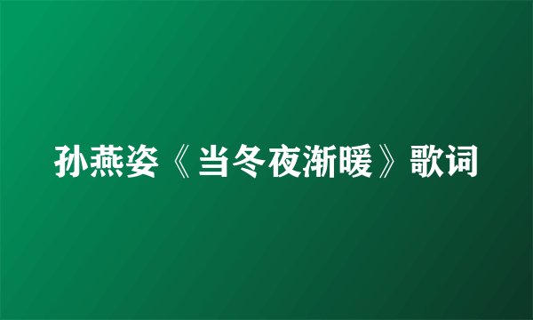 孙燕姿《当冬夜渐暖》歌词